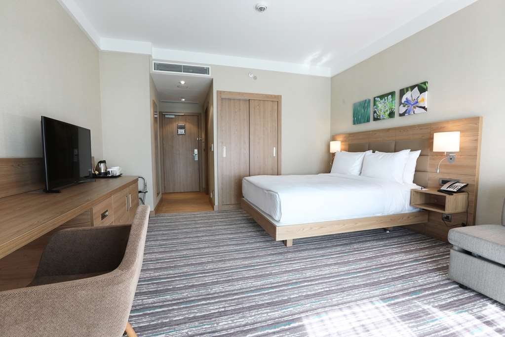 Hilton Garden Inn Adıyaman Rum bild